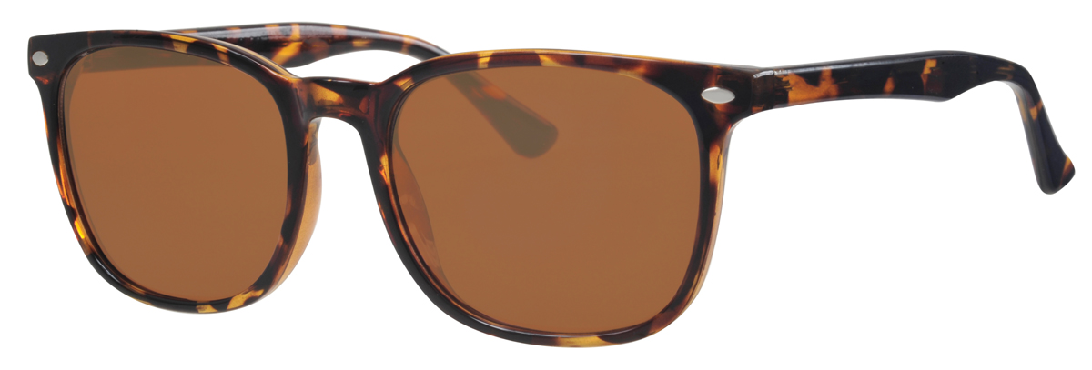 VS206-C02